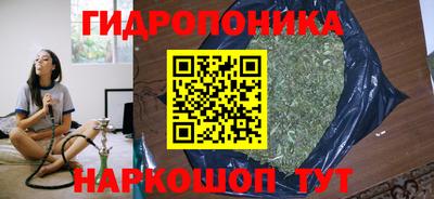 стаф Заволжье